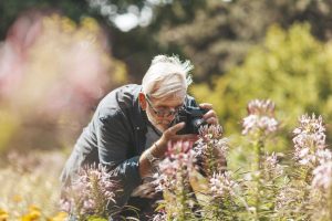 Mature man stand amidst tall wildflowers and take a close-up photo of one 
