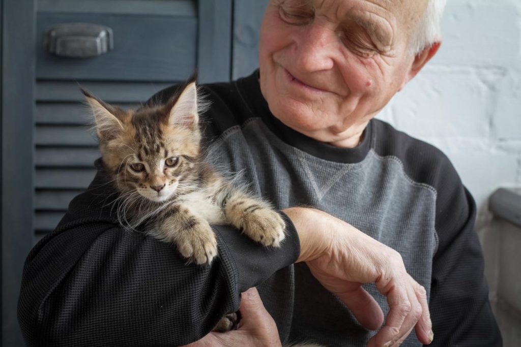 Senior man smiles as he gives a shelter kitten some much-needed love