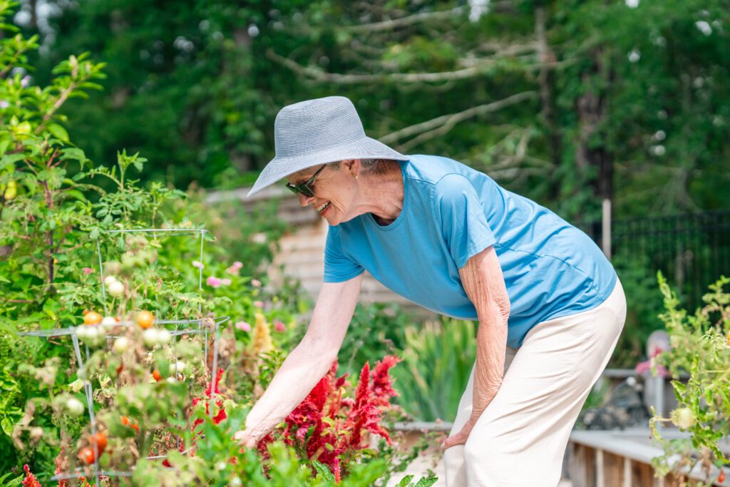 Senior Gardening