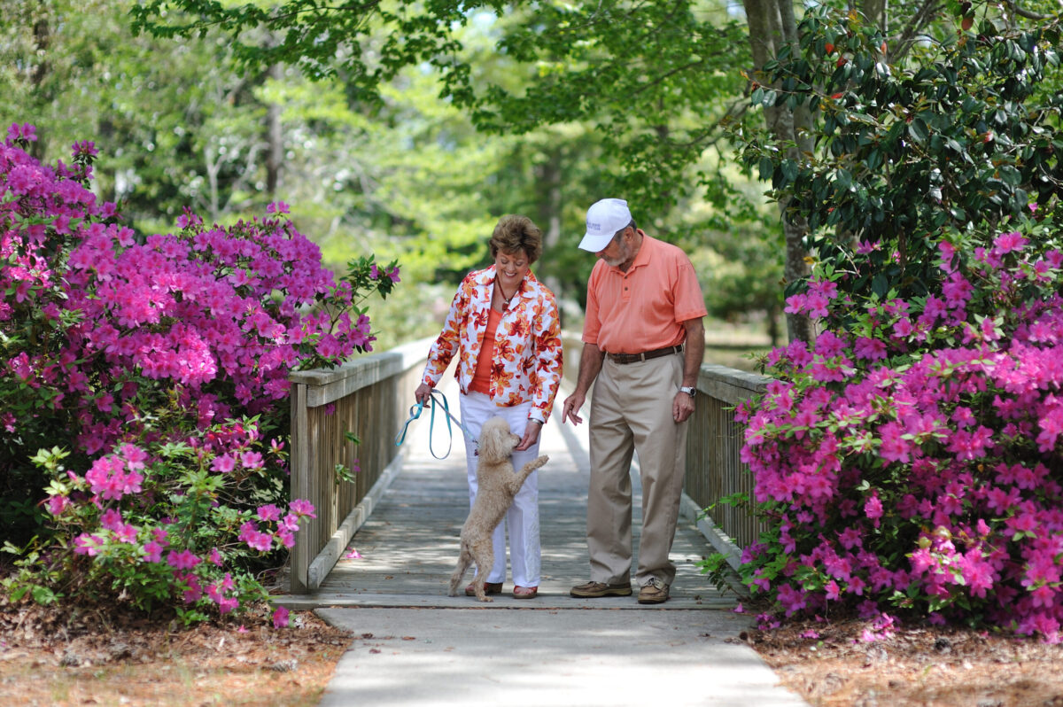 Elderly couple walking a dog