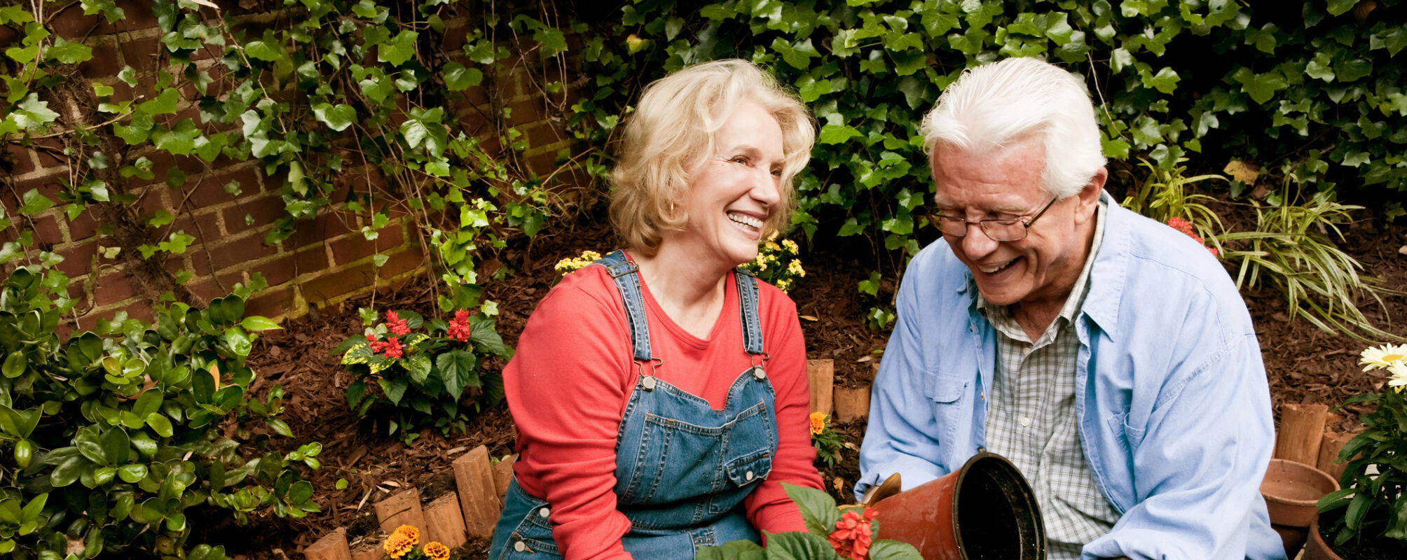 Elderly Couple Gardening